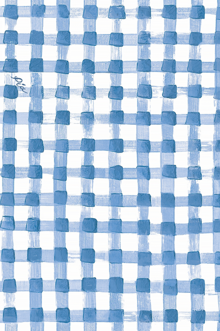 BELICIA - OVERSIZE SHIRT - BLUE PLAID